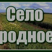 Люблю Всем Сердцем Отчие Края