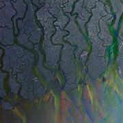 Dissolve Me