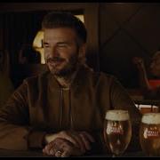 Stella Artois