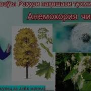 Довталаб 2021 Кластери 5