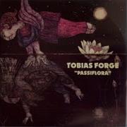 Passiflora Tobias Forge