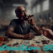 2Pac Destruction Style