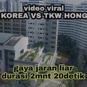 Video Viral Tkw Hongkong Tkl Korea