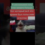 Орущий Кот Мем