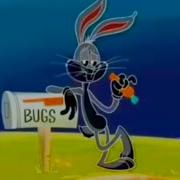 Wabbit Intro Vhincents Studio