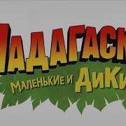 Madagascar A Little Wild Theme Song Russian