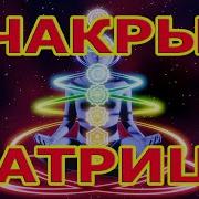 Музыка Счастья Гаряев Чакры