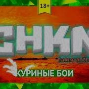 Куриные Бои Chkn