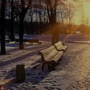 Triple Aaa Winter Stayed