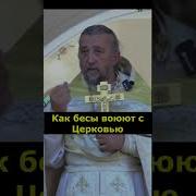 Священник Игорь Сильченков Cвоеволие
