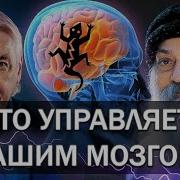 Девид Айк