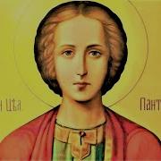 Житие Пантелеймона Целителя
