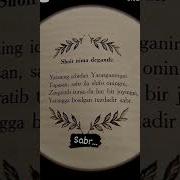 Музыкаи Sabr