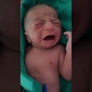 Sow Baby