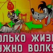 Все Травмы Волка Из Ну Погоди Глазами Врача История Болезни Реакция
