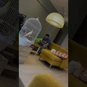Никому Не Позволю Так Разговаривать Shorts