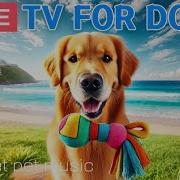 Doggy