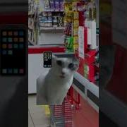 Случай На Кассе Прикол