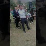 Маъруфи Зарафшони Туёна