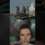 Я Помню Тот Холодный Зимний Вечер Когда На Землю Падал Белый Снег