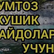 Классик Кушиклар Туплами