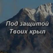 Тенью Твоих Крыл