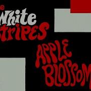 Apple Blossom