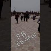 Дига У Дарсо