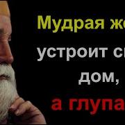 Афоризмы Сборник