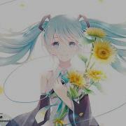 Summertimearrangever