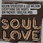 Everything She Wants Dr Packer Remix Kelvin Sylvester Lee Wilson