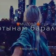 Сыр Бербей Кулгонун