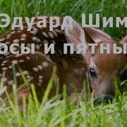 Эдуард Шим