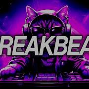 Breakbeat Mix 2024 Nocturnia Breakbeat Podcast 205 By Dj Peluka