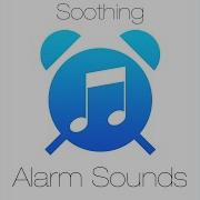 Synth Pattern Alarm Sound Steven Cravis