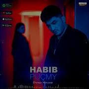 Habibi Puçmy