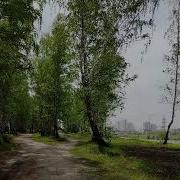 Стих О Родина В Неярком Блеске
