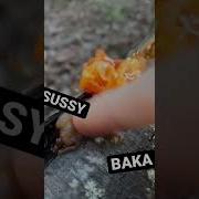 Wet Slapping Asmr