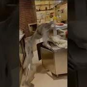 Ахх Ахх Мем