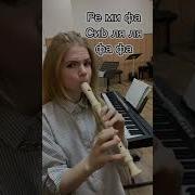 Современные Песни На Флейте