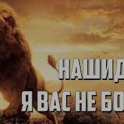 Я Вас Не Боюсь Нашид