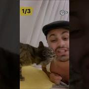 Джавид Шерстяной
