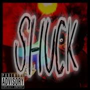 Shucks V2 Cover Visualiser