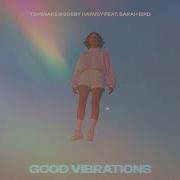 Tensnake Good Vibrations