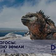 Остров Эволюции