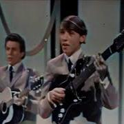 Bee Gees Live 1965