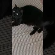Ставить На Учет Всех Тунеядцев