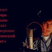 Игорь Ильин Стихи