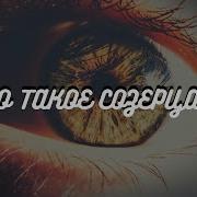 Яковишин Андрей Курс Созерцания