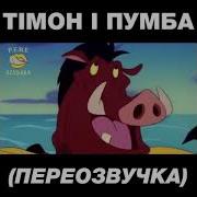 Приколы От Тимон И Пумба